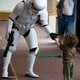 Illustration for article titled What a Stormtrooper Is Made Of